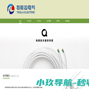 南京特斯拉电气有限公司