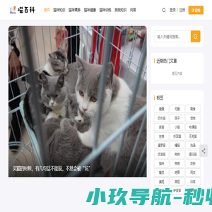 喵百科