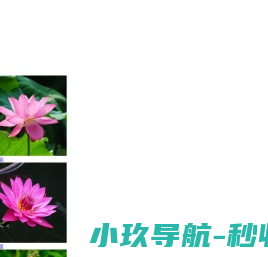 河北莲源水生植物有限公司