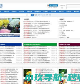 花讯网