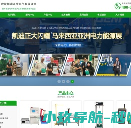 武汉凯迪正大
