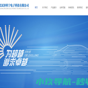 武汉泽科宁电子科技有限公司