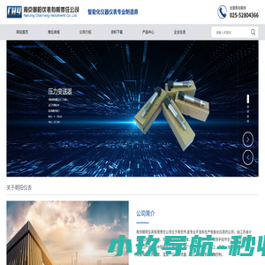南京朝阳仪表有限责任公司_智能仪表系列,计数仪表系列,拉压传感器