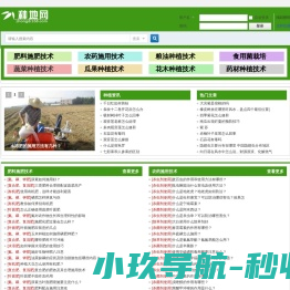 种植技术经验交流