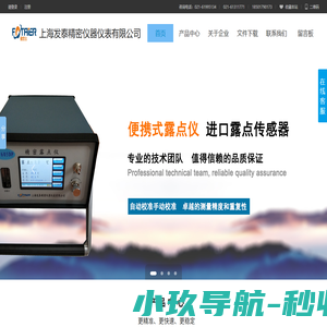 露点仪-水分仪-氧气分析仪-温湿度显示屏-防爆露点仪-上海发泰精密仪器