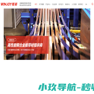 浙江惟精新材料股份有限公司