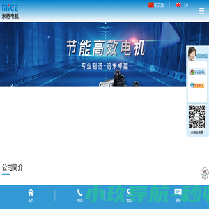 杭州米格电机有限公司
