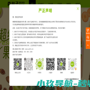 森林子时令鲜果茶-果真更健康 - sunlth森林子奶茶