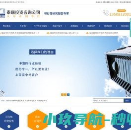 项目可行性研究报告撰写