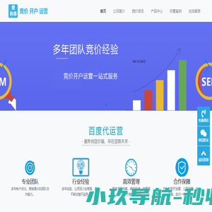 竞价代运营