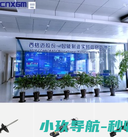 西格迈股份有限公司