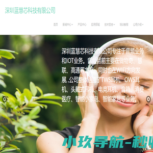 蓝慧芯
