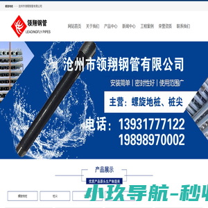 螺旋地桩-螺旋地桩厂家-桩尖-沧州市领翔钢管有限公司