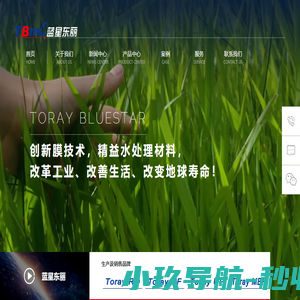蓝星东丽