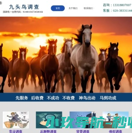广州调查公司