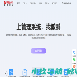 广州傲鹏软件
