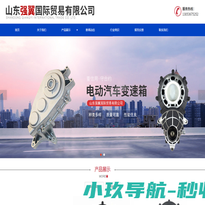 山东电动汽车变速箱及空气加力泵供应公司-山东强翼国际贸易有限公司