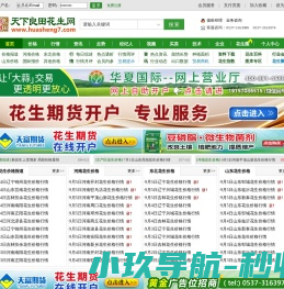 网站截图