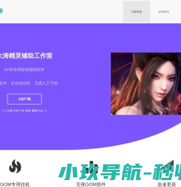 大涛精灵辅助工作室