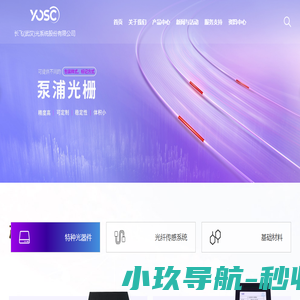 长飞光系统股份有限公司