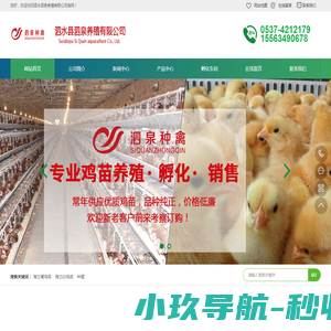 成都监控安装公司