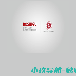 博世古(北京)系统工程技术有限公司
