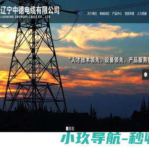 辽宁中德电缆有限公司