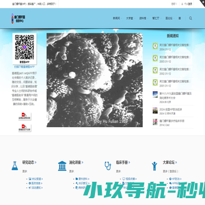 上海羚悦国际贸易有限公司