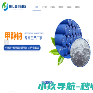 固体甲醇钠生产厂家-液体甲醇钠价格-宁夏恒汇鲁丰科技有限公司