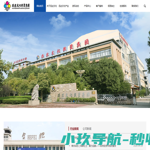 安徽迅达文化投资集团股份公司