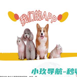 深圳华腾宠物互联网管理有限公司
