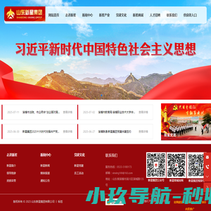 山东新星集团有限公司