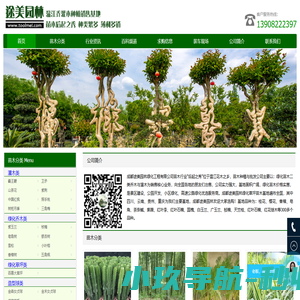 绿化苗木价格 - 常绿乔木批发 - 灌木树苗基地 - 成都途美园林绿化