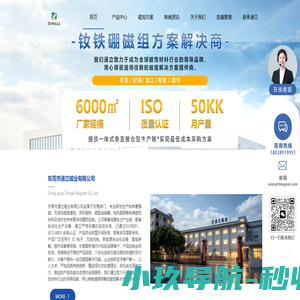 钕铁硼磁铁,高温磁铁,强磁铁厂家-东莞通立钕铁硼磁组方案解决商