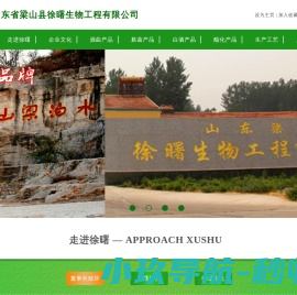山东省梁山县徐曙生物工程有限公司