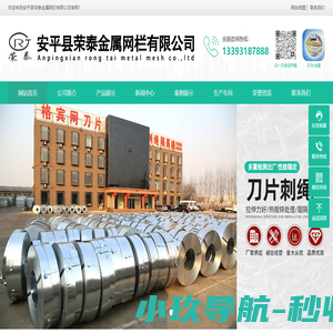 刺绳,刀片刺绳,防爆阻隔网,双股刺绳-安平县荣泰金属网栏有限公司