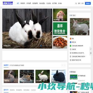 兔子网_买兔子怎么养殖_兔肉怎么做好吃_兔子信息网