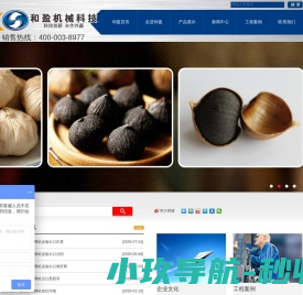 黑蒜发酵机