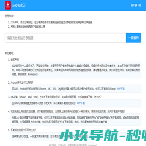 皮皮去水印