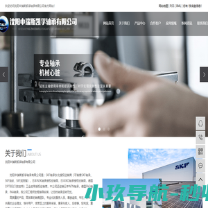 沈阳SKF轴承-沈阳进口轴承-SKF授权经销商-沈阳中瑞斯凯孚轴承有限公司