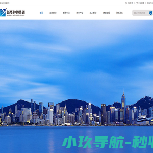 新华控股集团