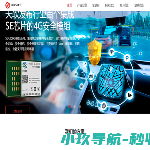 成都天软信息技术有限公司