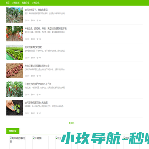 农村信息平台_农村信息分享_在线求助技能学习农产品特卖_村网