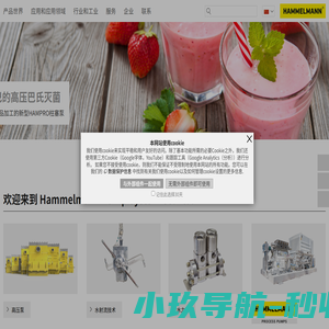 高压水射流清洗切割技术|工业高压清洗泵|注入泵|进料泵|流程泵厂家|进口高压泵品牌-哈莫尔曼 | Hammelmann Pump System Co. Ltd.
