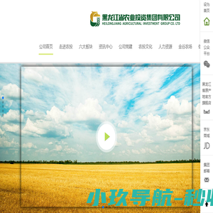 黑龙江省农业投资集团