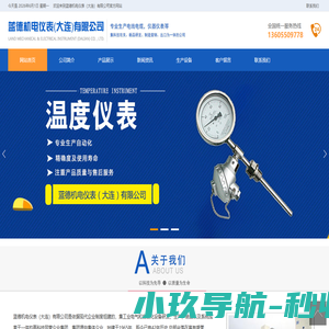 蓝德机电仪表（大连）有限公司