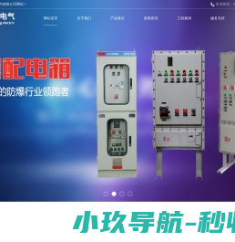 防爆配电箱