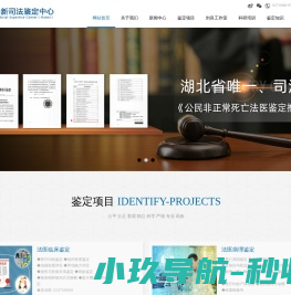 湖北崇新司法鉴定中心