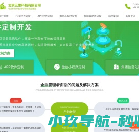 软件定制开发