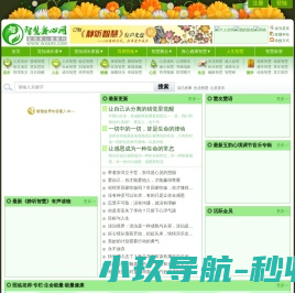 网站截图